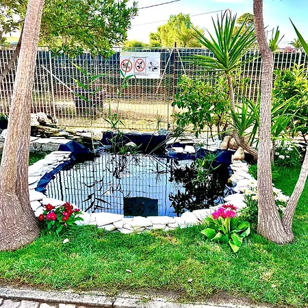 Konukevi Latino Vieste