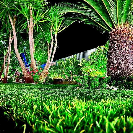 Latino Guest house *