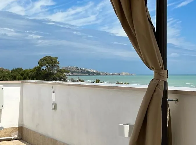 Guest house Latino 4*