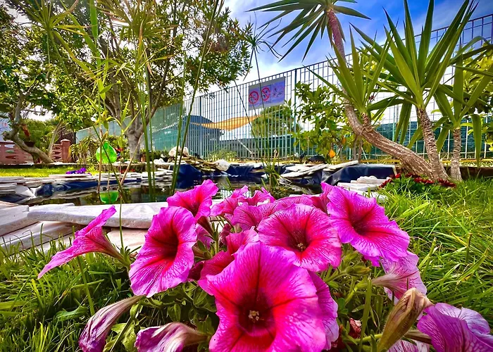 Latino Guest house 4*